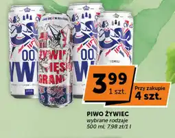 Groszek Piwo Zywiec oferta