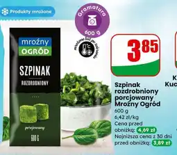 Dino Szpinak rozdrobniony porcjowany Mroźny Ogród oferta