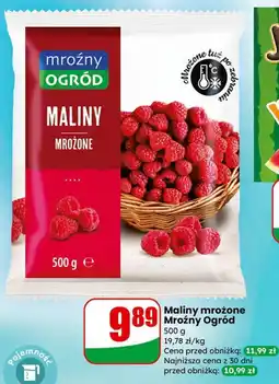 Dino Maliny mrożone Mrożny Ogród oferta