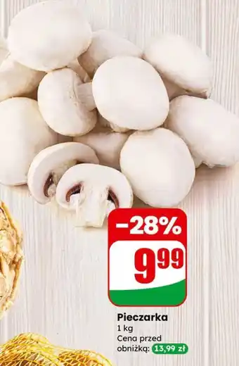 Dino Pieczarka oferta