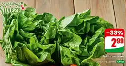 Dino Sałata masłowa oferta