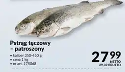 Makro Pstrąg tęczowy patroszony oferta