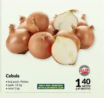 Cebula