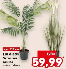Kaufland LIV & BO Sztuczna roślina oferta