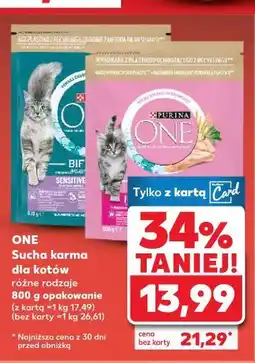 Kaufland Purina ONE Sucha karma dla kotów oferta