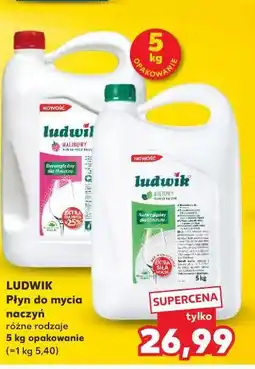 Kaufland Ludwik Płyn do mycia naczyń różne rodzaje oferta