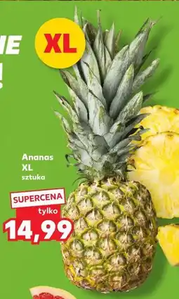 Kaufland Ananas XL sztuka oferta