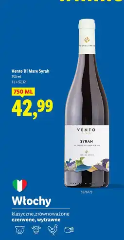 Lidl Wino wytrawne syrah Vento Di Mare oferta