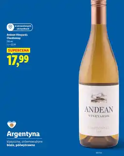 Lidl Wino Andean Vineyards Chardonnay oferta