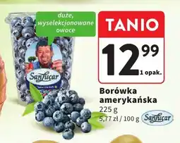 Intermarche Borówka amerykańska oferta