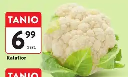 Intermarche Kalafior oferta