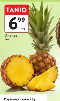 Intermarche Ananas luz oferta