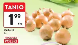 Intermarche Cebula luz oferta