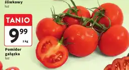 Intermarche Pomidor gałązka luz oferta