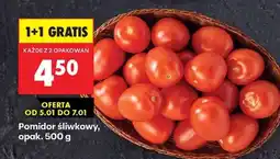 Biedronka Pomidor śliwkowy opak . 500 g oferta