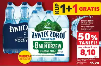 Zywiec Zdrój Woda źródlana