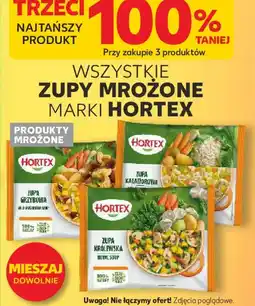 Kaufland Hortex Zupy mrożone oferta