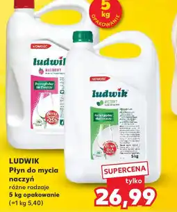 Kaufland Ludwik Płyn do mycia naczyń oferta