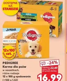 Kaufland Pedigree Karma dla psów oferta
