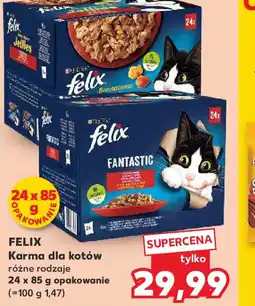 Kaufland Felix Karma dla kotów oferta