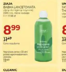 Jawa Drogerie Ziaja Babka Lancetowata oferta