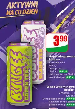 Dino Bungee Napój niegazowany (Green Tea / Black Tea) oferta
