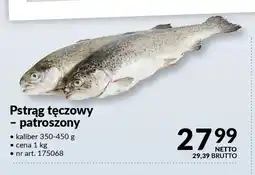 Makro Pstrąg tęczowypatroszony oferta