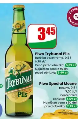 Dino Trybunał Pils oferta