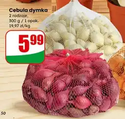 Dino Cebula dymka (2 rodzaje, 300 g) oferta