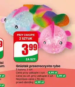 Dino Gniotek przezroczysta ryba oferta