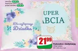 Dino Poduszka z dedykacją oferta