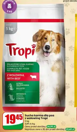 Dino Sucha karma dla psa z wołowiną Tropi oferta