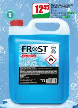 Dino Płyn do spryskiwaczy zimowy –17°C Frost oferta