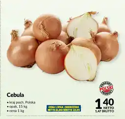 Makro Cebula oferta