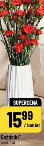 Polomarket Goździki (bukiet 7 szt.) oferta