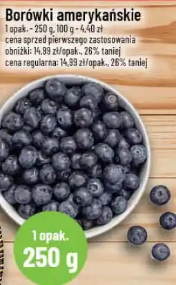 Polomarket Borówki amerykańskie oferta