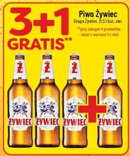 Polomarket Piwo Żywiec oferta