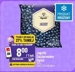 Polomarket Jagody Zaczarowany Ogród oferta