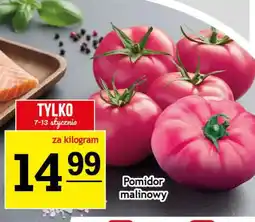 Gram Market Pomidor malinowy oferta