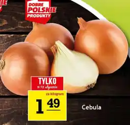 Gram Market Cebula oferta