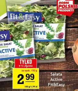 Gram Market Sałata Active Fit&Easy oferta