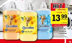 Gram Market Coccolino płyn do płukania oferta