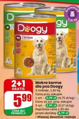 Dino Mokra karma dla psa Doogy oferta