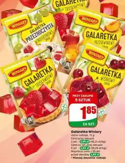 Dino Galaretka WINIARY oferta