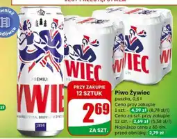 Dino Piwo Żywiec oferta