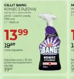 Jawa Drogerie Cillit Bang Koniec z Pleśnią oferta