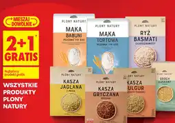 Biedronka Plony Natury produkty oferta