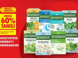 Biedronka Herbaty Herbarium oferta
