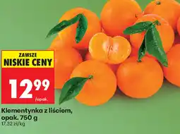 Biedronka Klementynka z liściem oferta