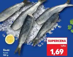 Kaufland Śledź tusza oferta